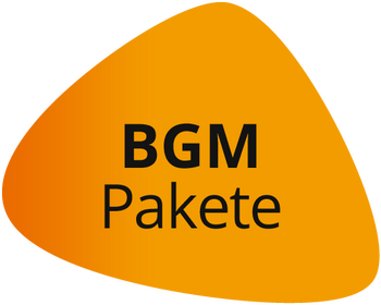 Betriebliches Gesundheits­management (BGM) kompakt